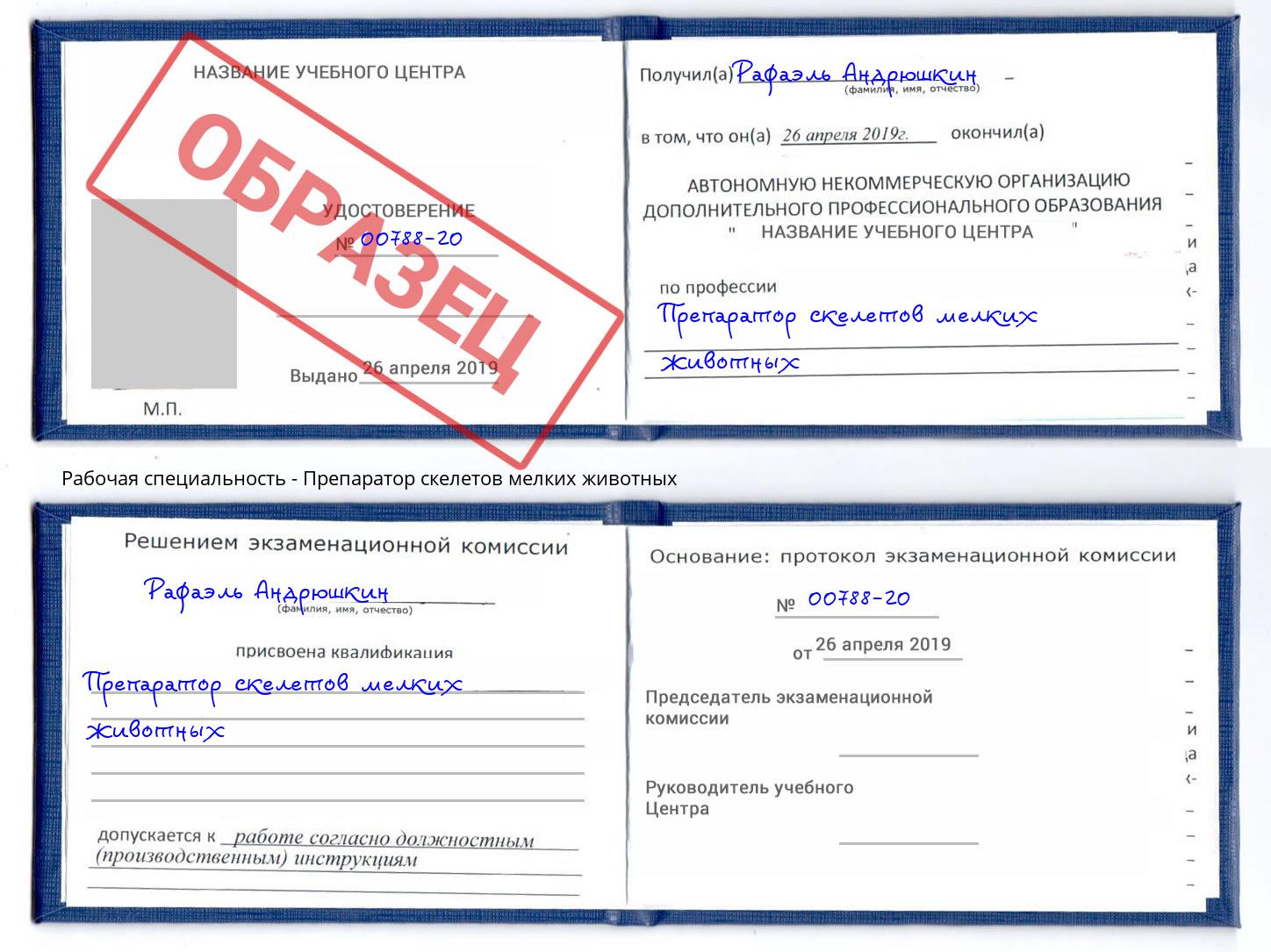 Препаратор скелетов мелких животных Сызрань