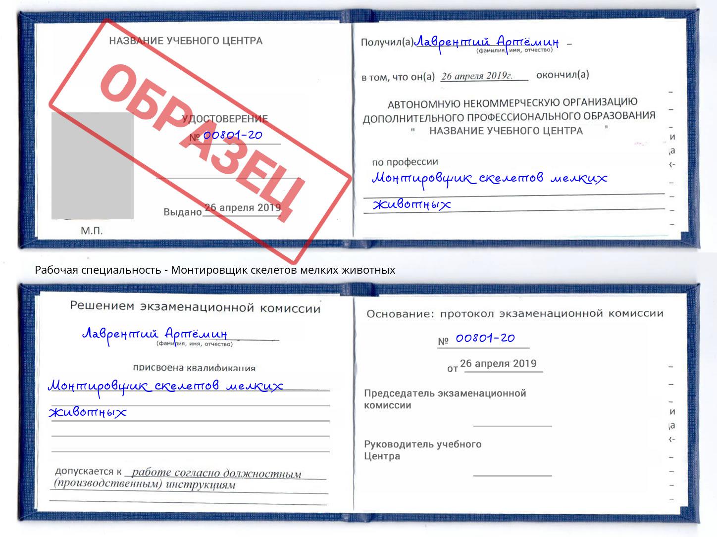 Монтировщик скелетов мелких животных Сызрань