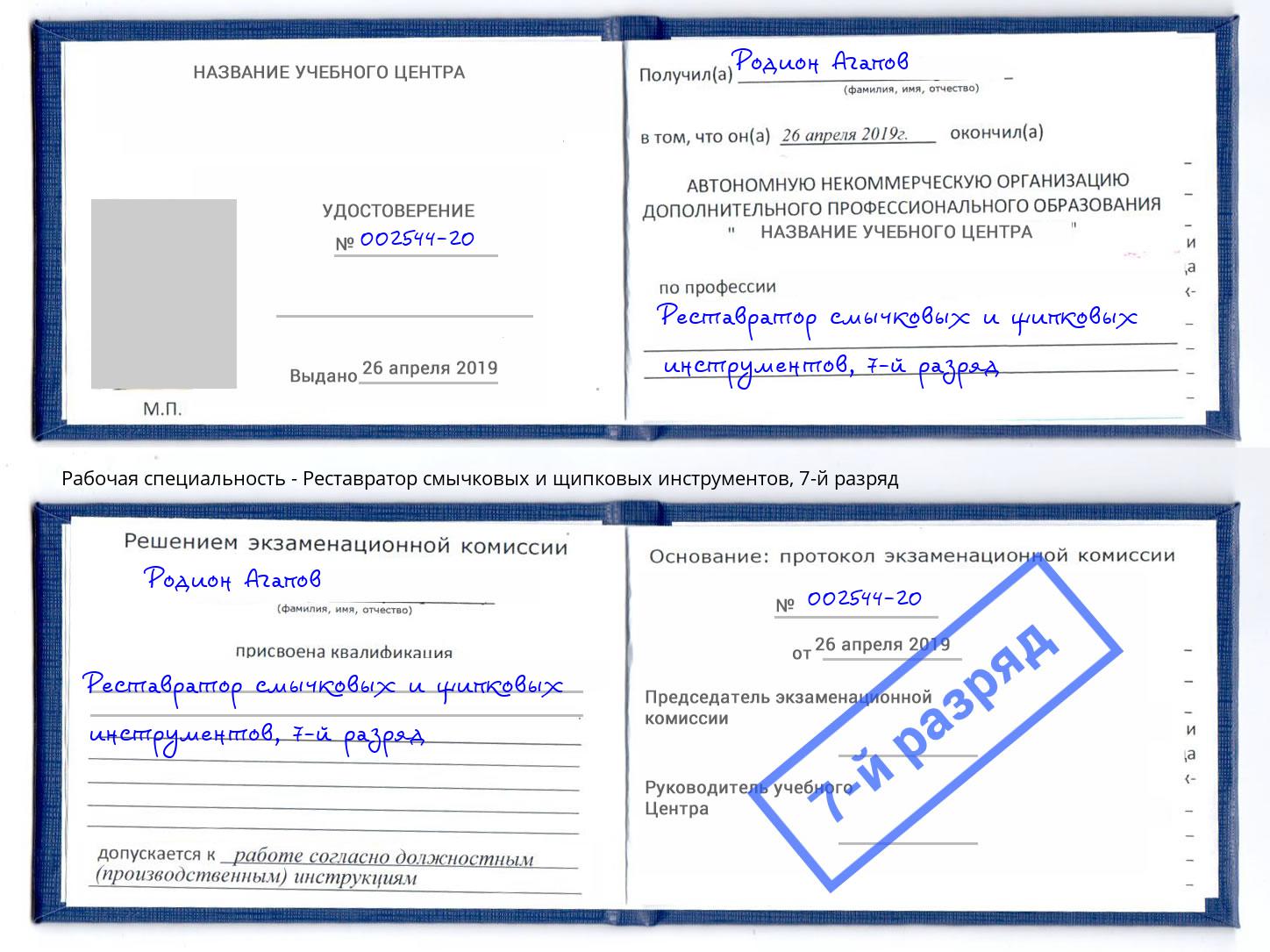 корочка 7-й разряд Реставратор смычковых и щипковых инструментов Сызрань