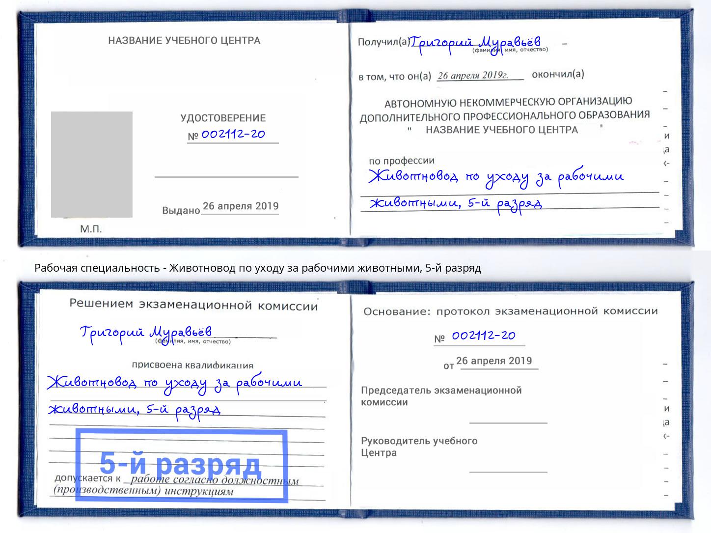 корочка 5-й разряд Животновод по уходу за рабочими животными Сызрань